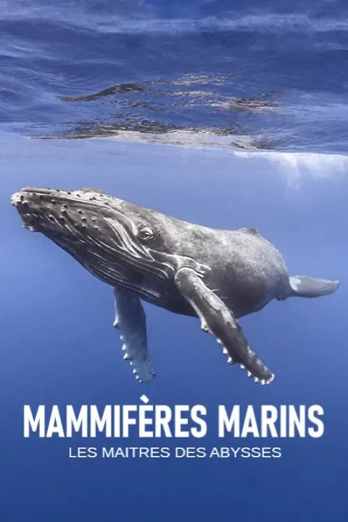 Poster of the movie Mammifères marins, les maîtres des abysses