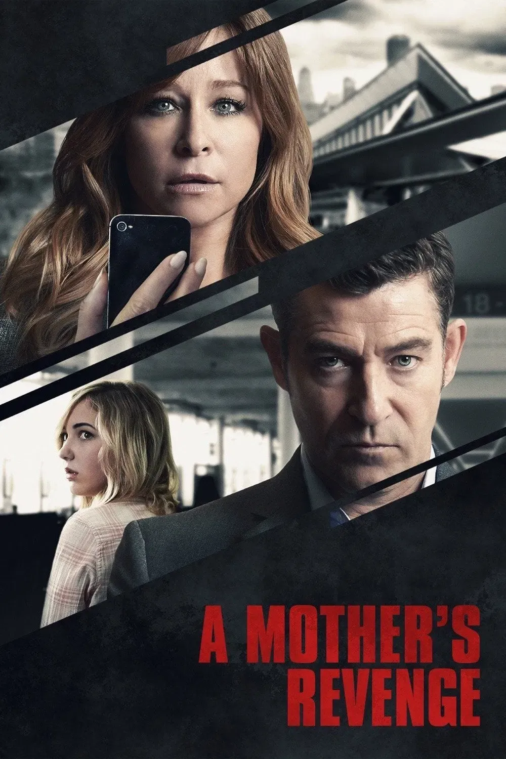 Poster of the movie A Mother's Revenge