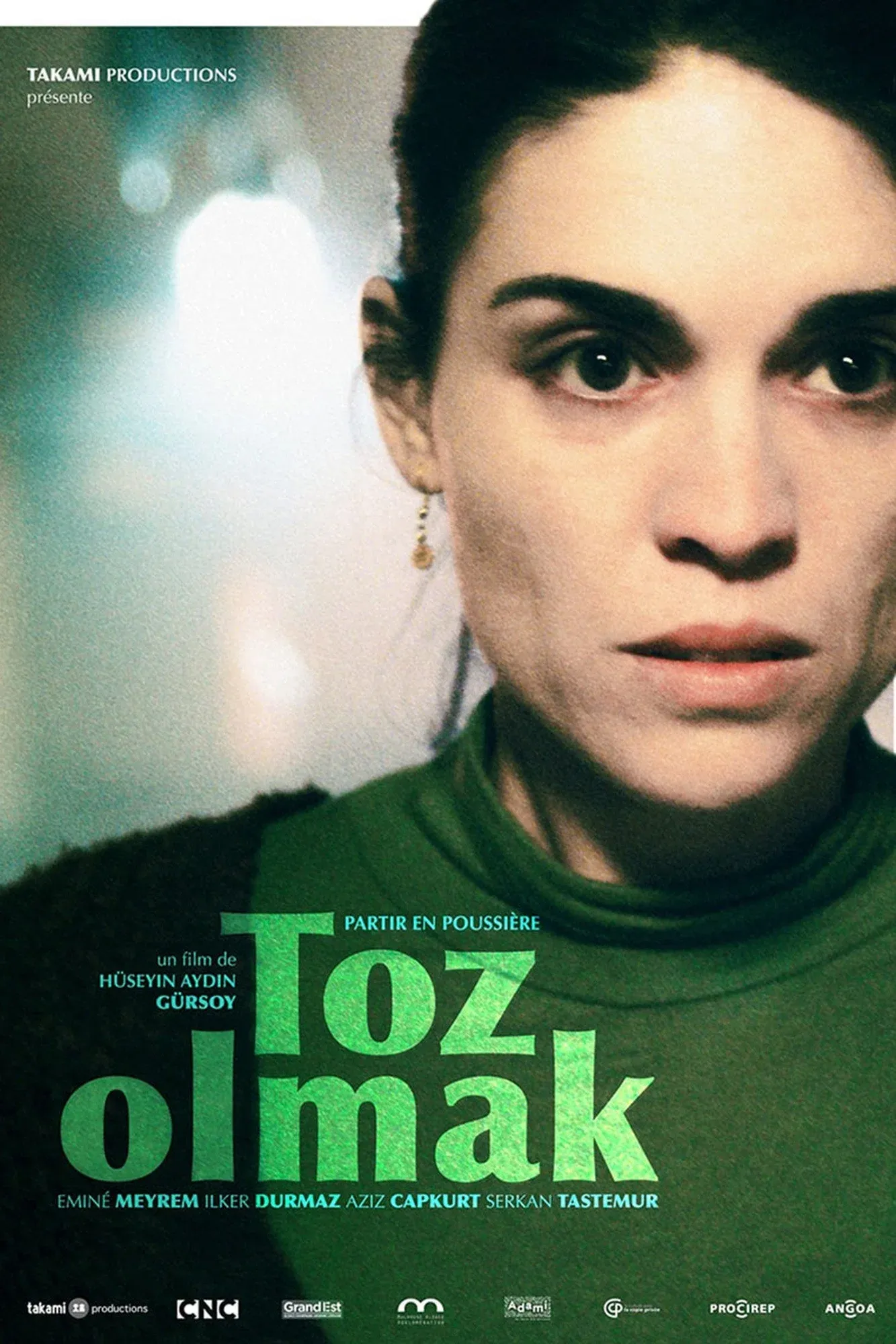 Poster for Turning to Dust
