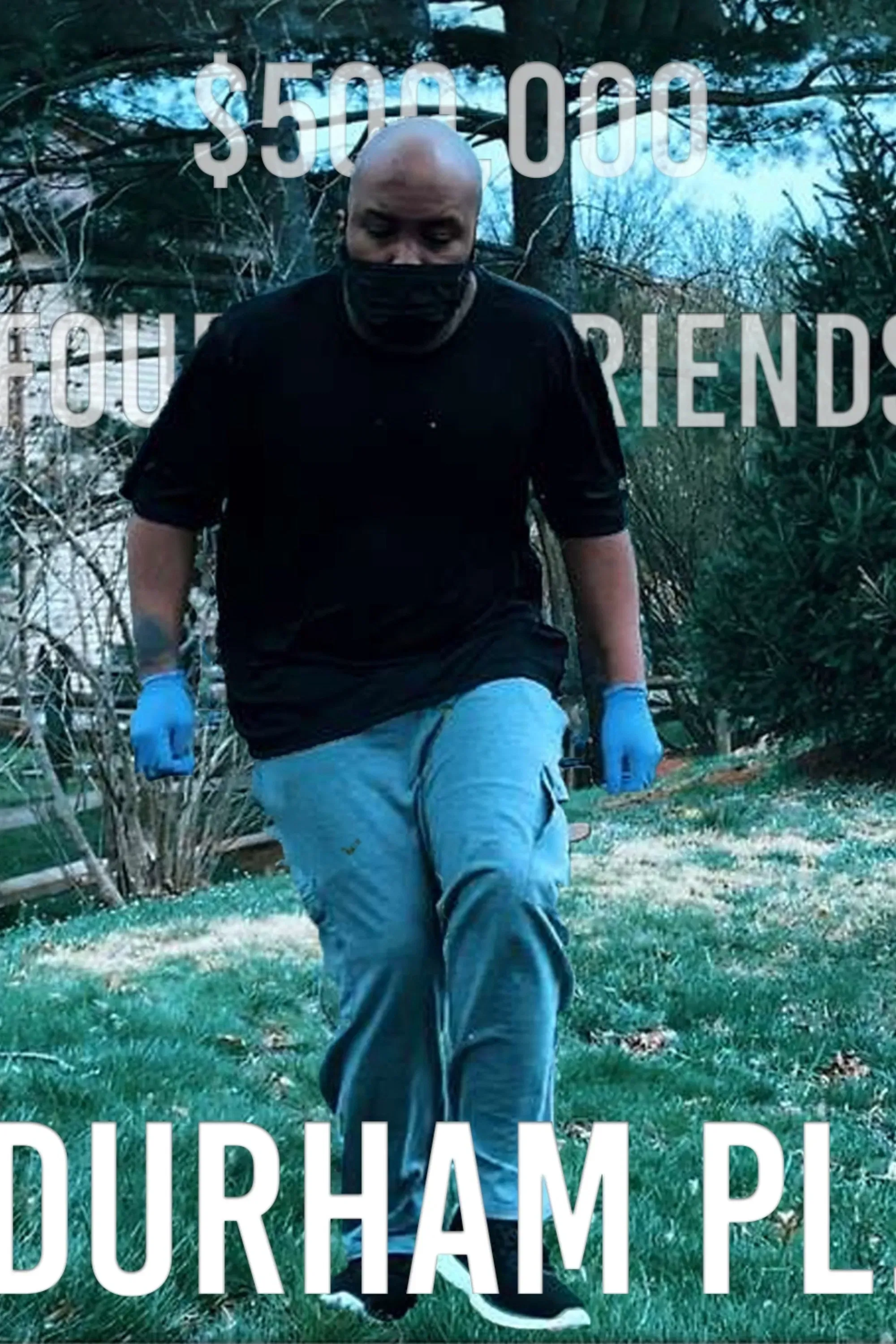 Poster of the movie Durham Place