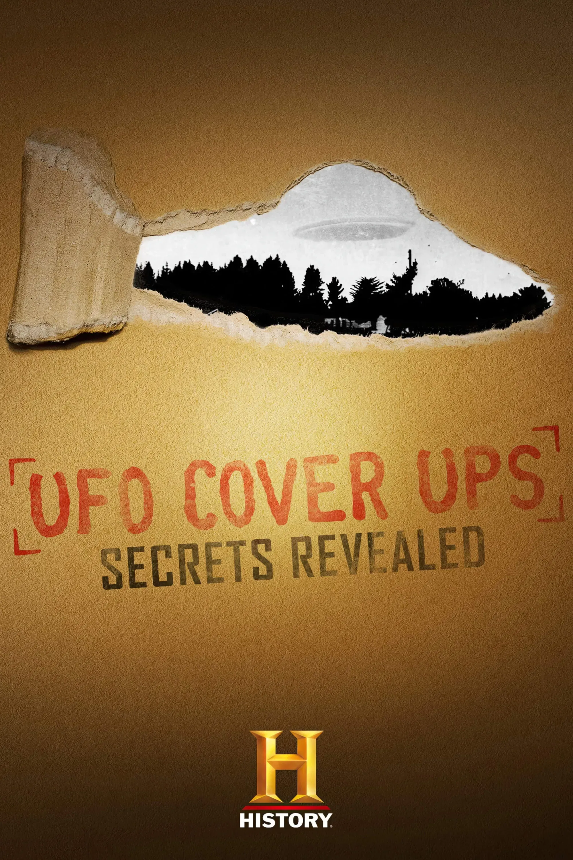 Poster of the movie UFO Cover Ups: Secrets Revealed