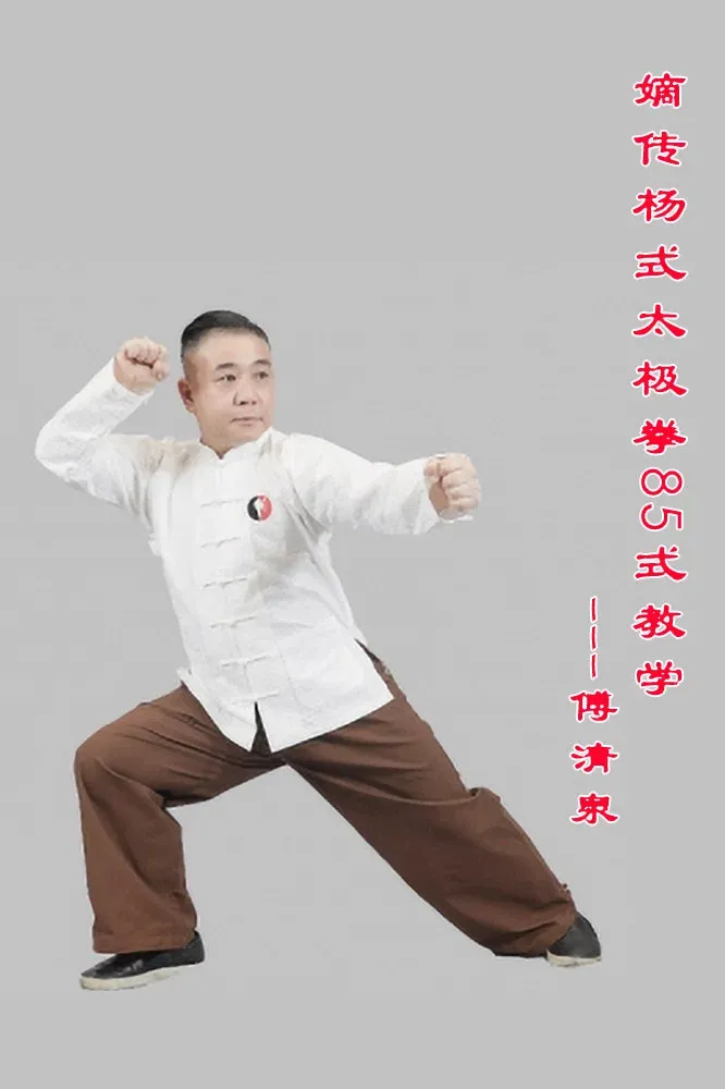 Poster of 嫡传杨式太极拳