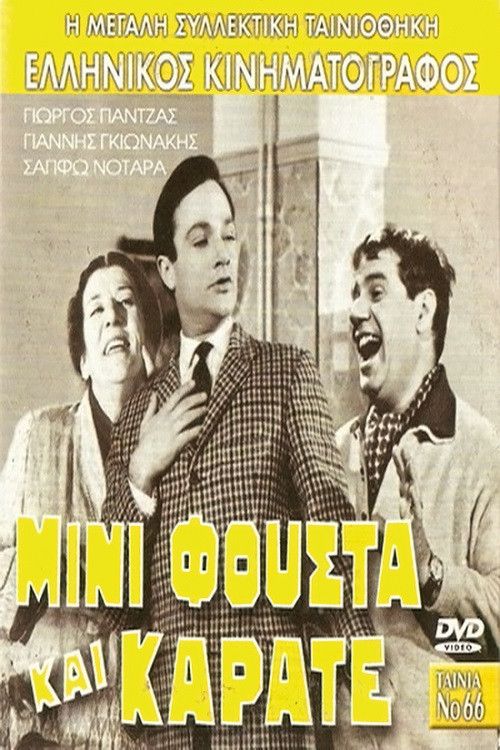 Poster of the movie Mini Skirt and Karate
