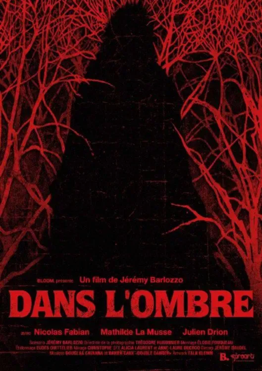 Poster of the movie Dans l’ombre