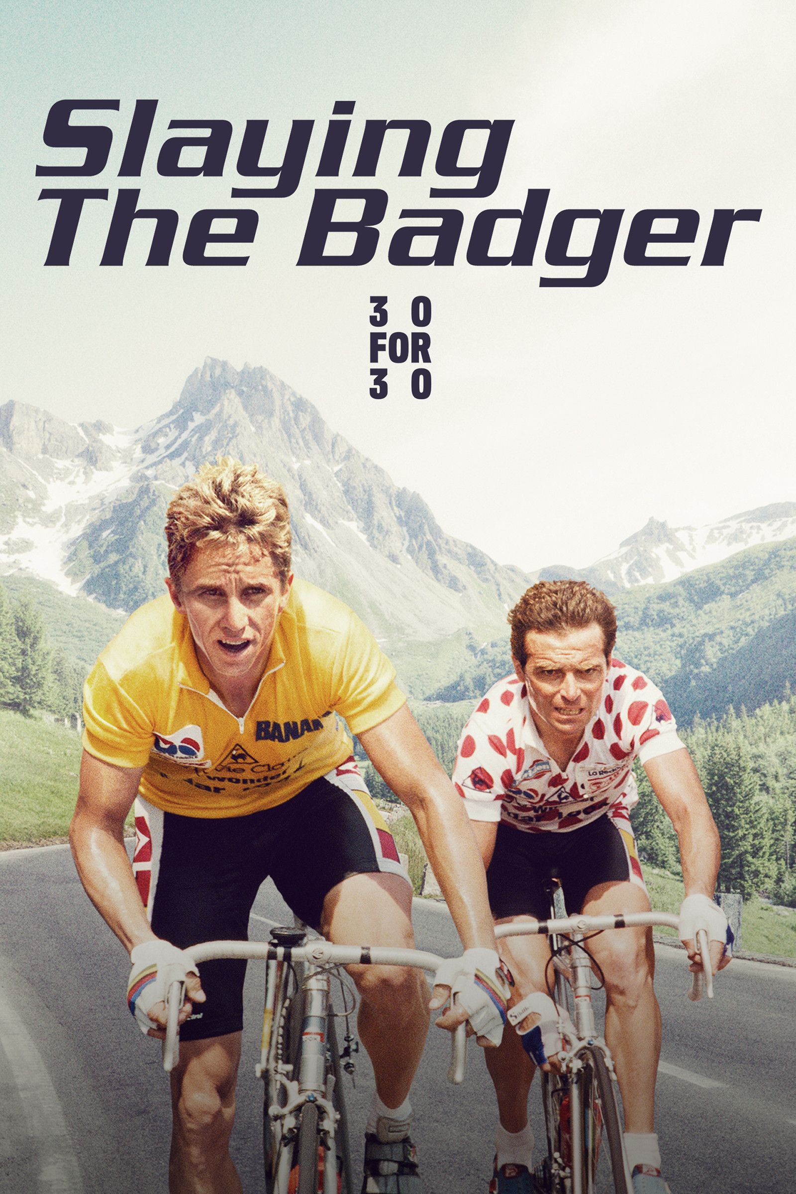 Poster of the movie Slaying the Badger