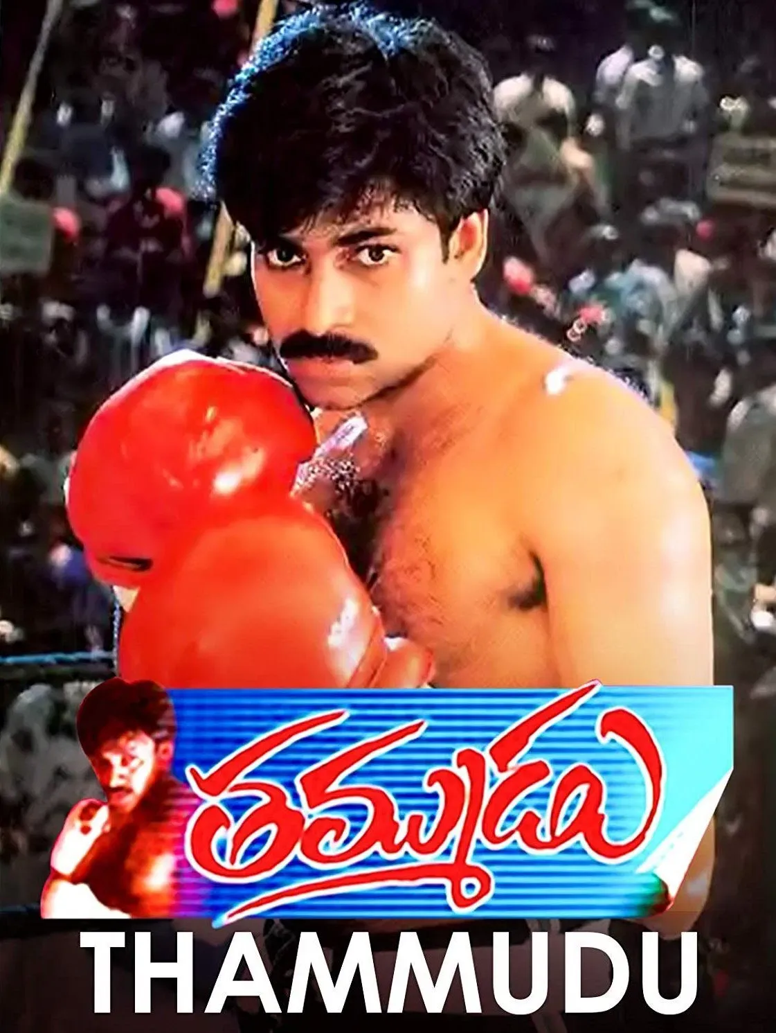 Poster of the movie Thammudu