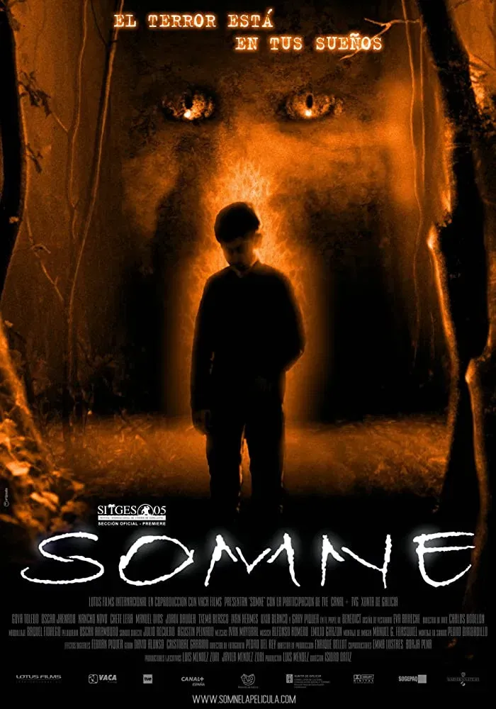 Poster of the movie Somne