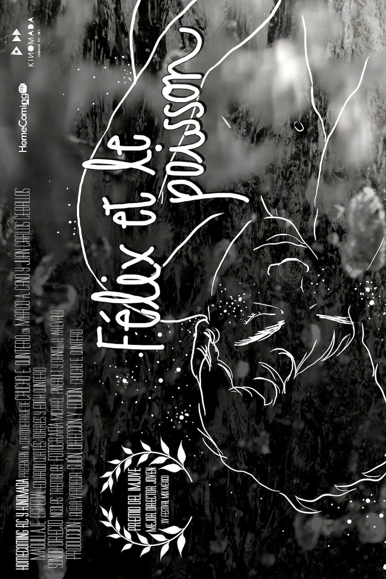 Poster of the movie Félix and the Fish