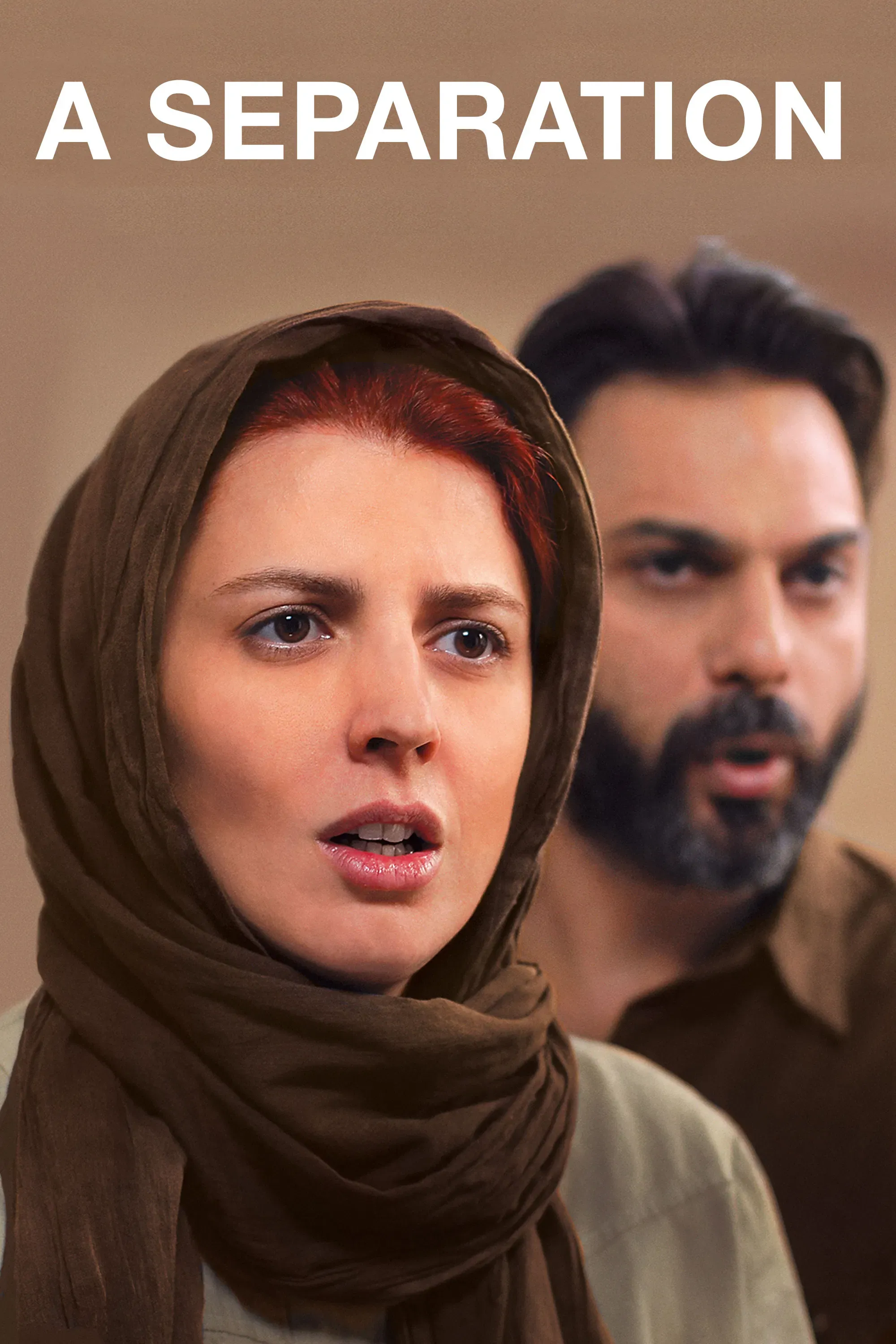 Poster of the movie A Separation