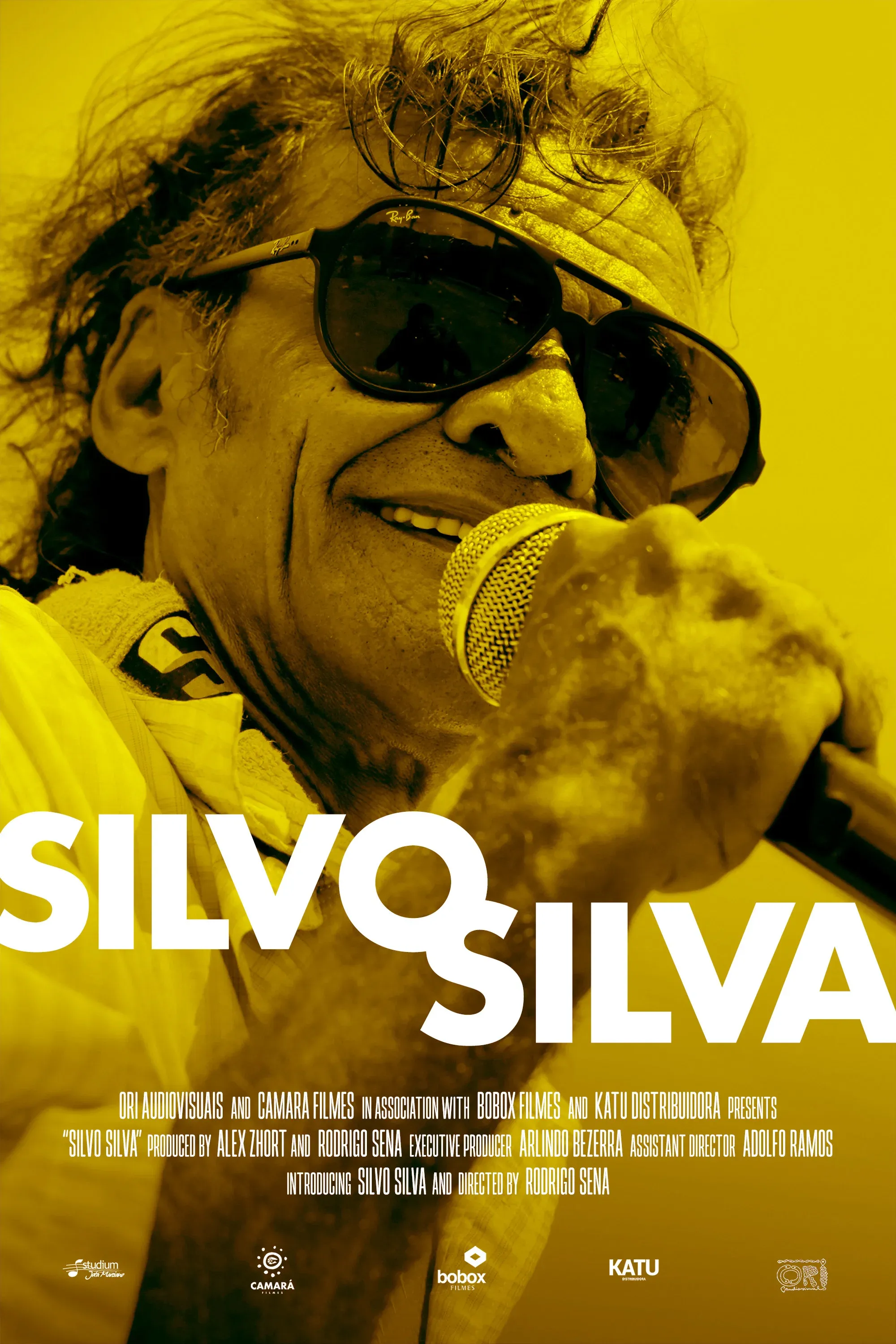 Poster for Silvo Silva