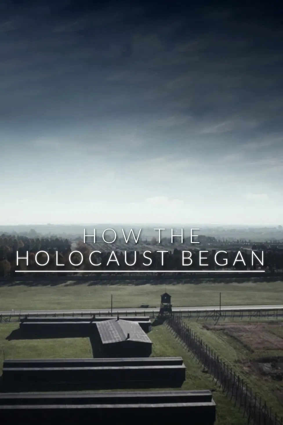 Poster of the movie How the Holocaust Began