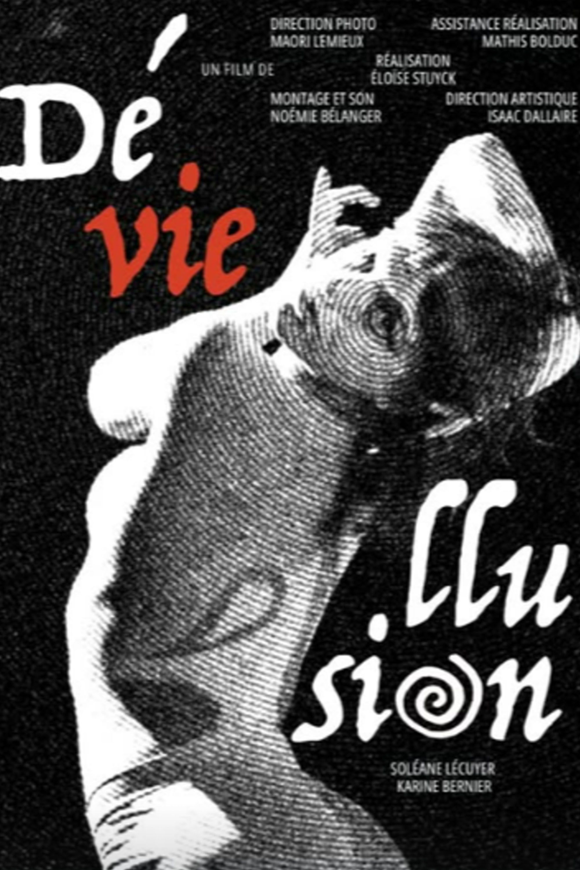 Poster of the movie Déviellusion