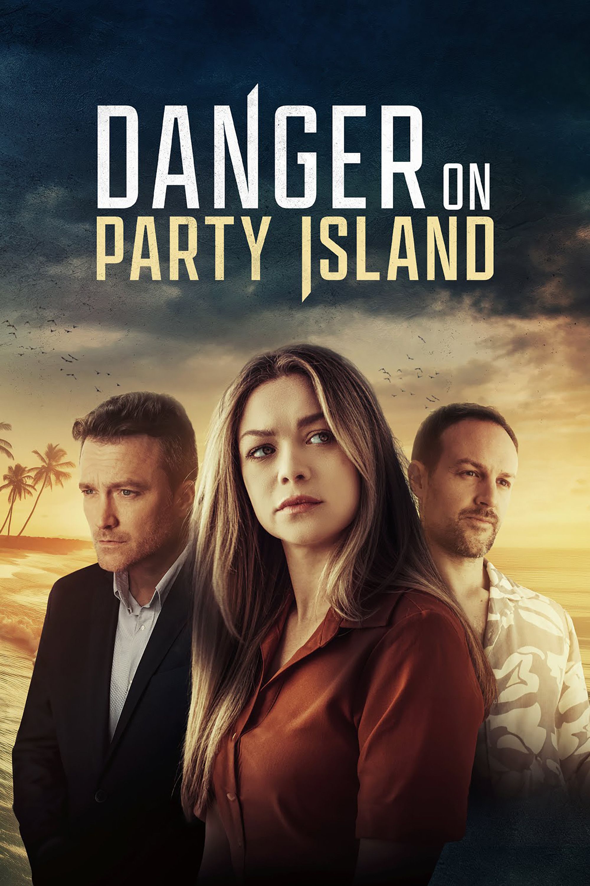 Poster of the movie Danger on Party Island
