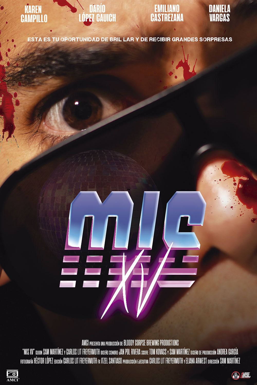 Poster of the movie Mis XV