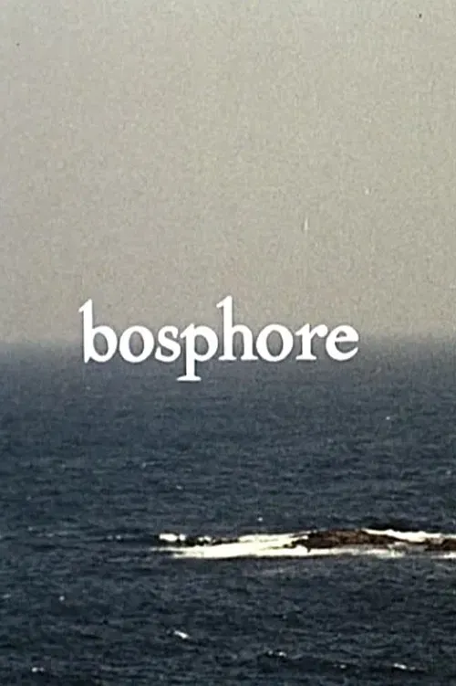 Poster of the movie Bosphore