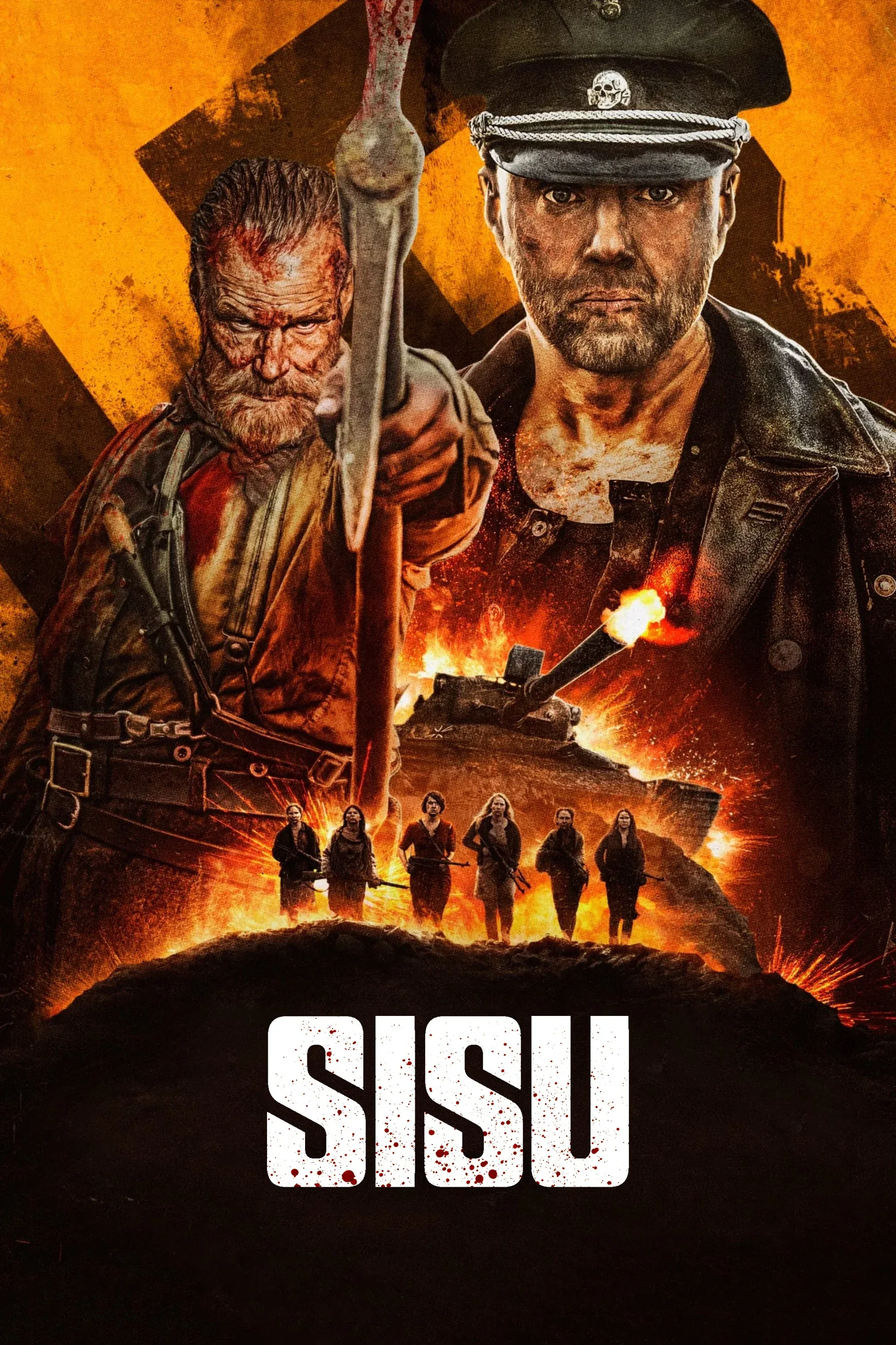 Poster of the movie Sisu