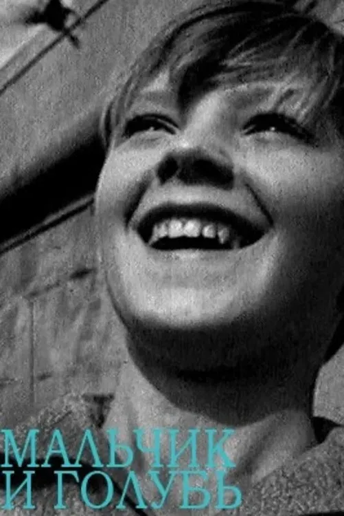 Poster of the movie The Boy and the Pigeon