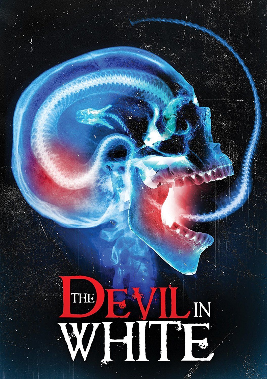 Poster of the movie The Devil in White