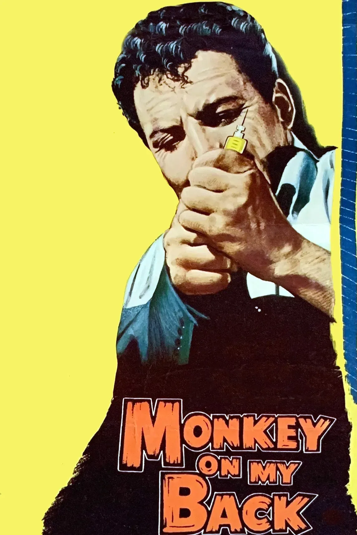 Poster of the movie Monkey on My Back