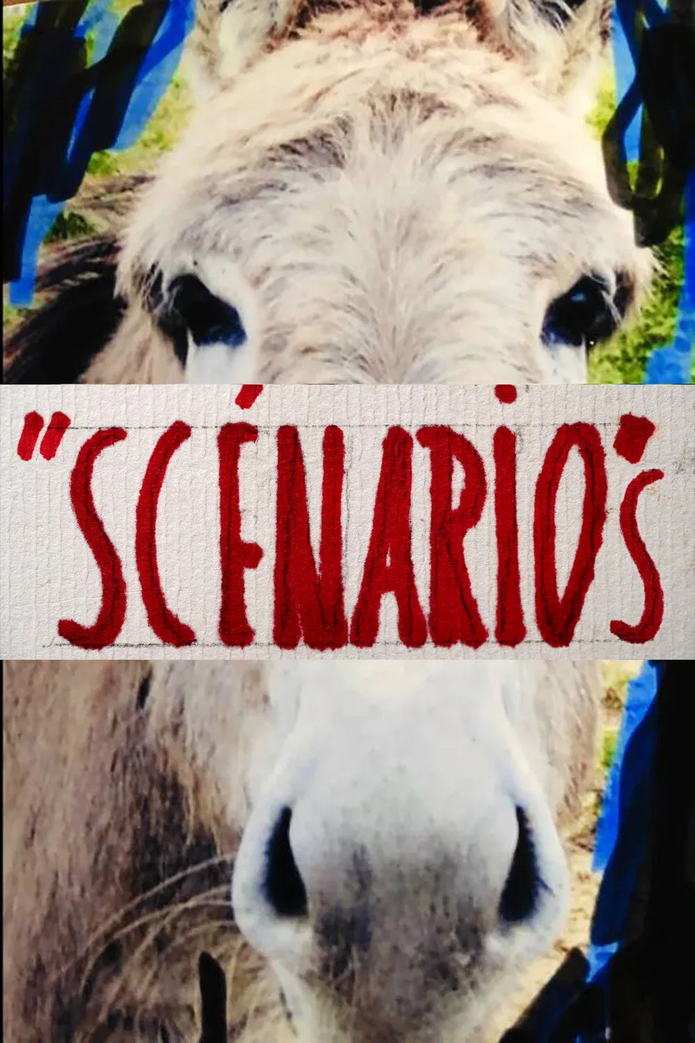 Poster for Scénarios