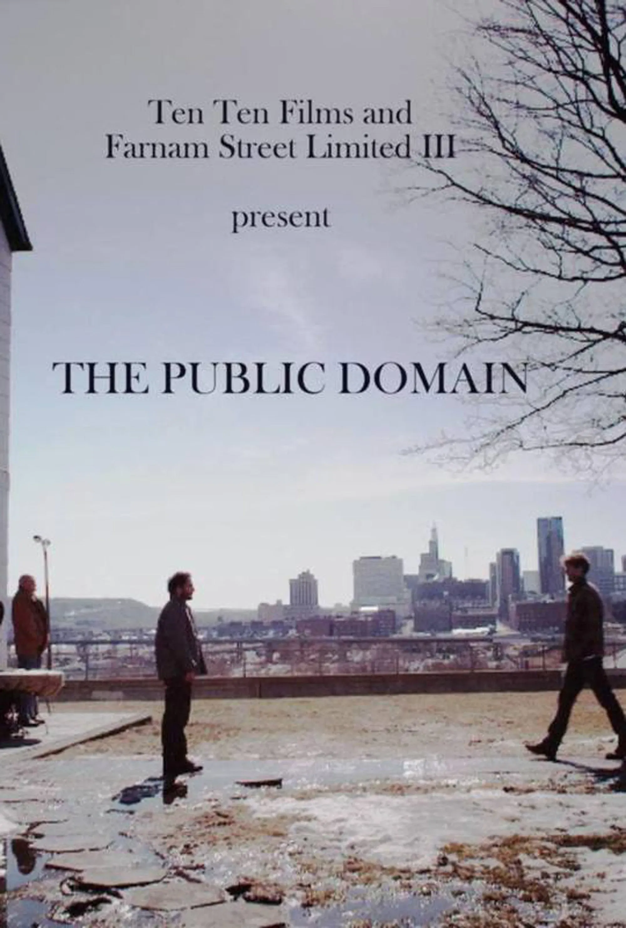 Poster of the movie The Public Domain