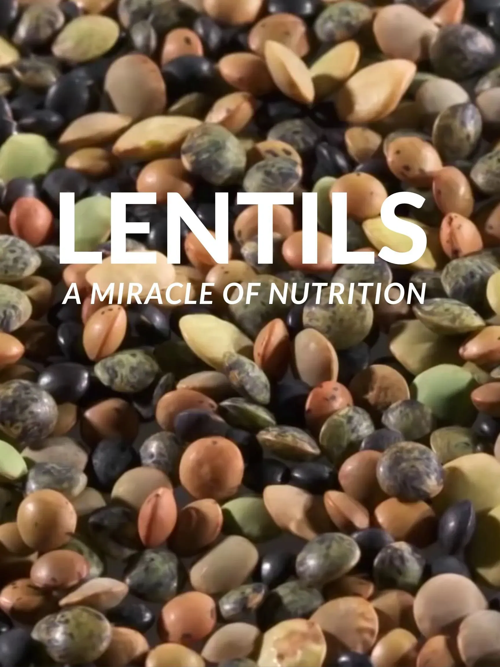 Poster of the movie Lentils: A Miracle Of Nutrition