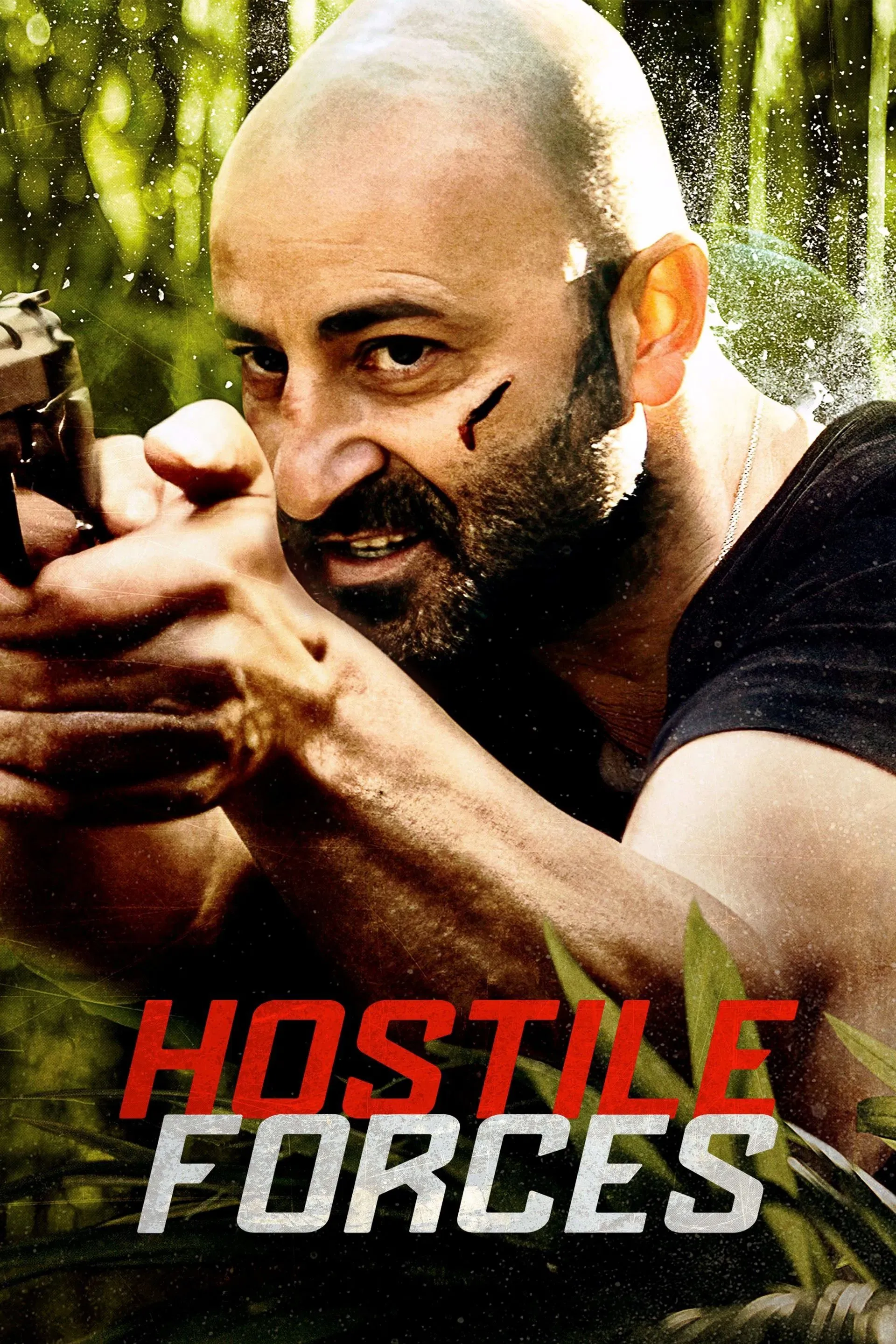 Poster of the movie Hostile Forces