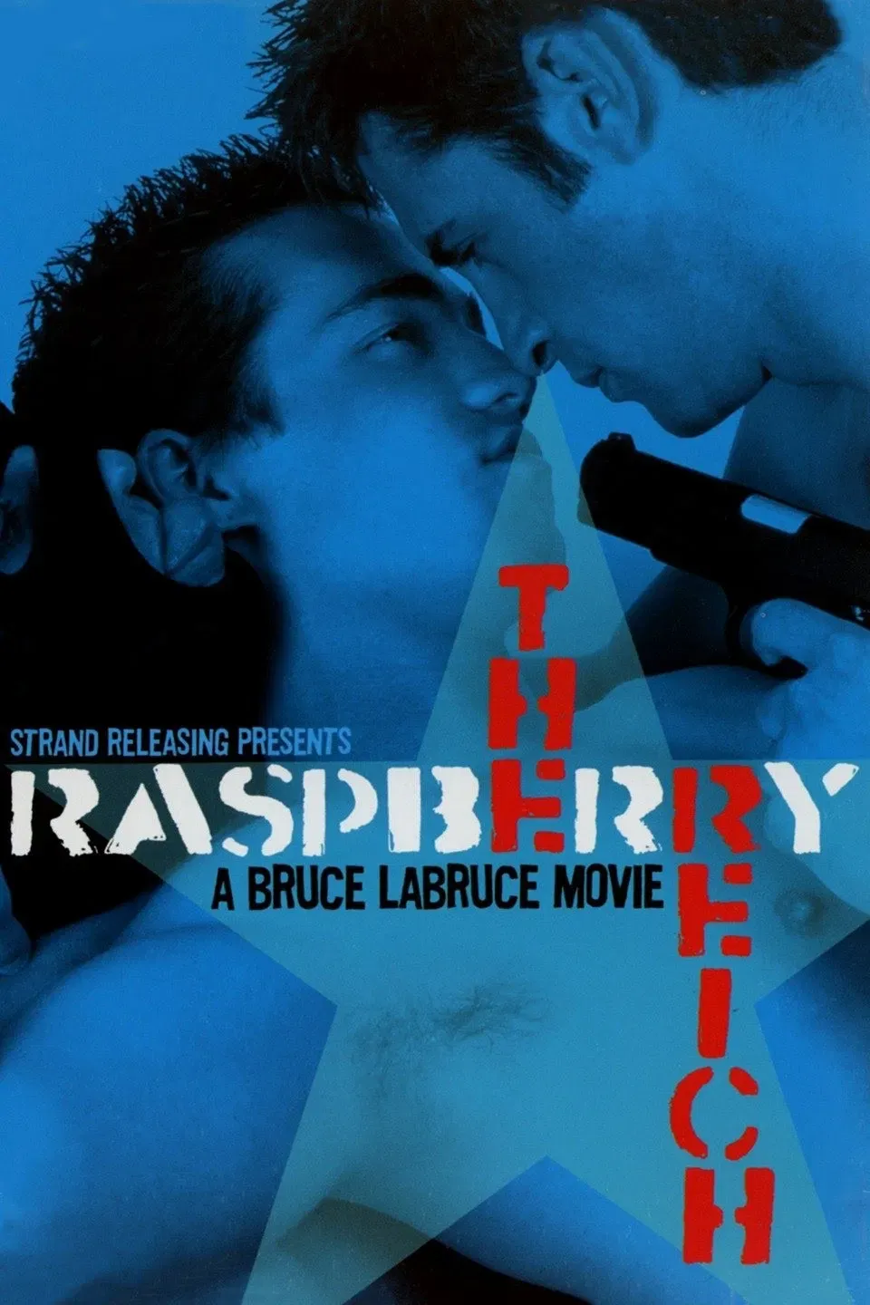 Poster of the movie The Raspberry Reich