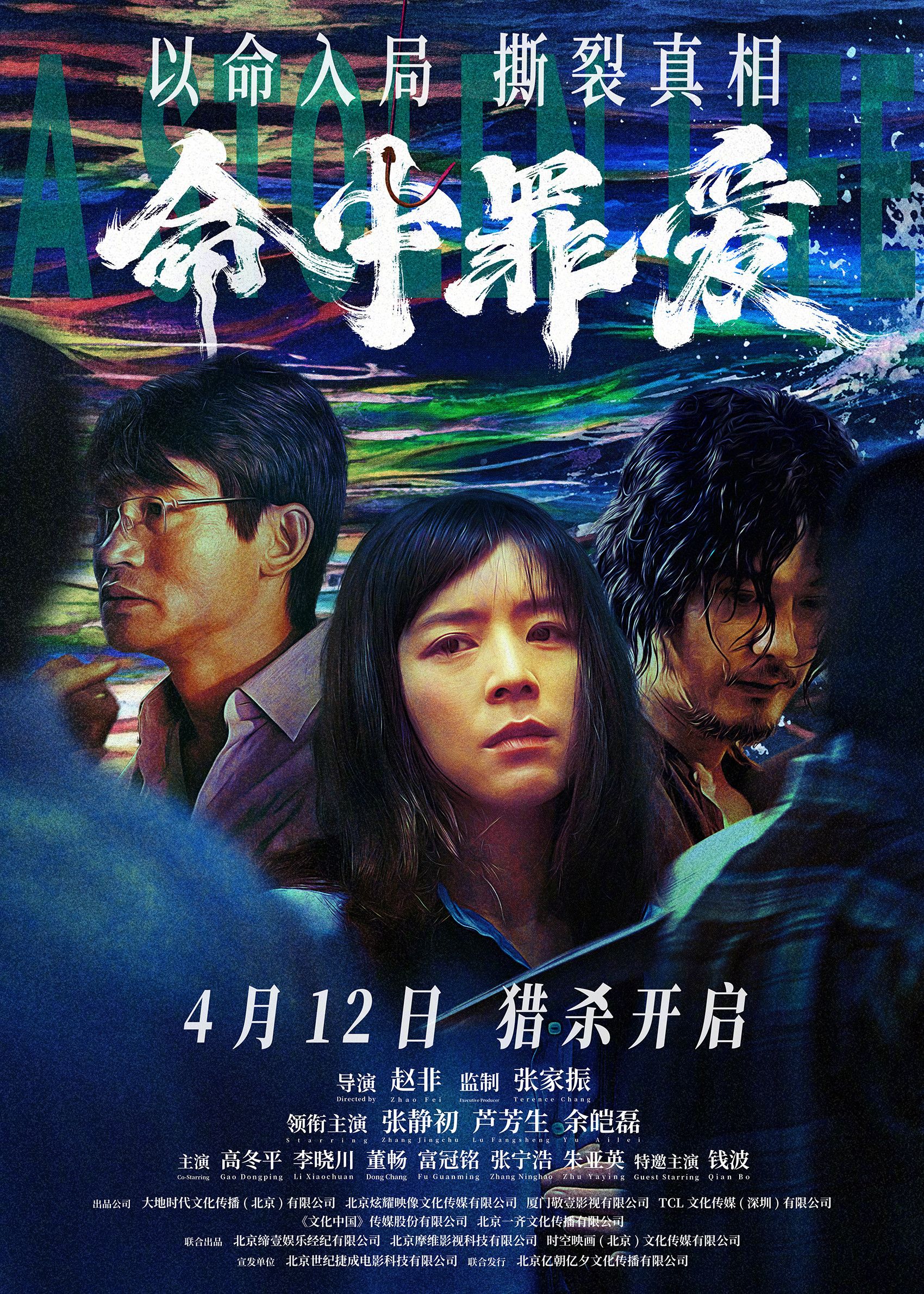 Poster of the movie A Stolen Life