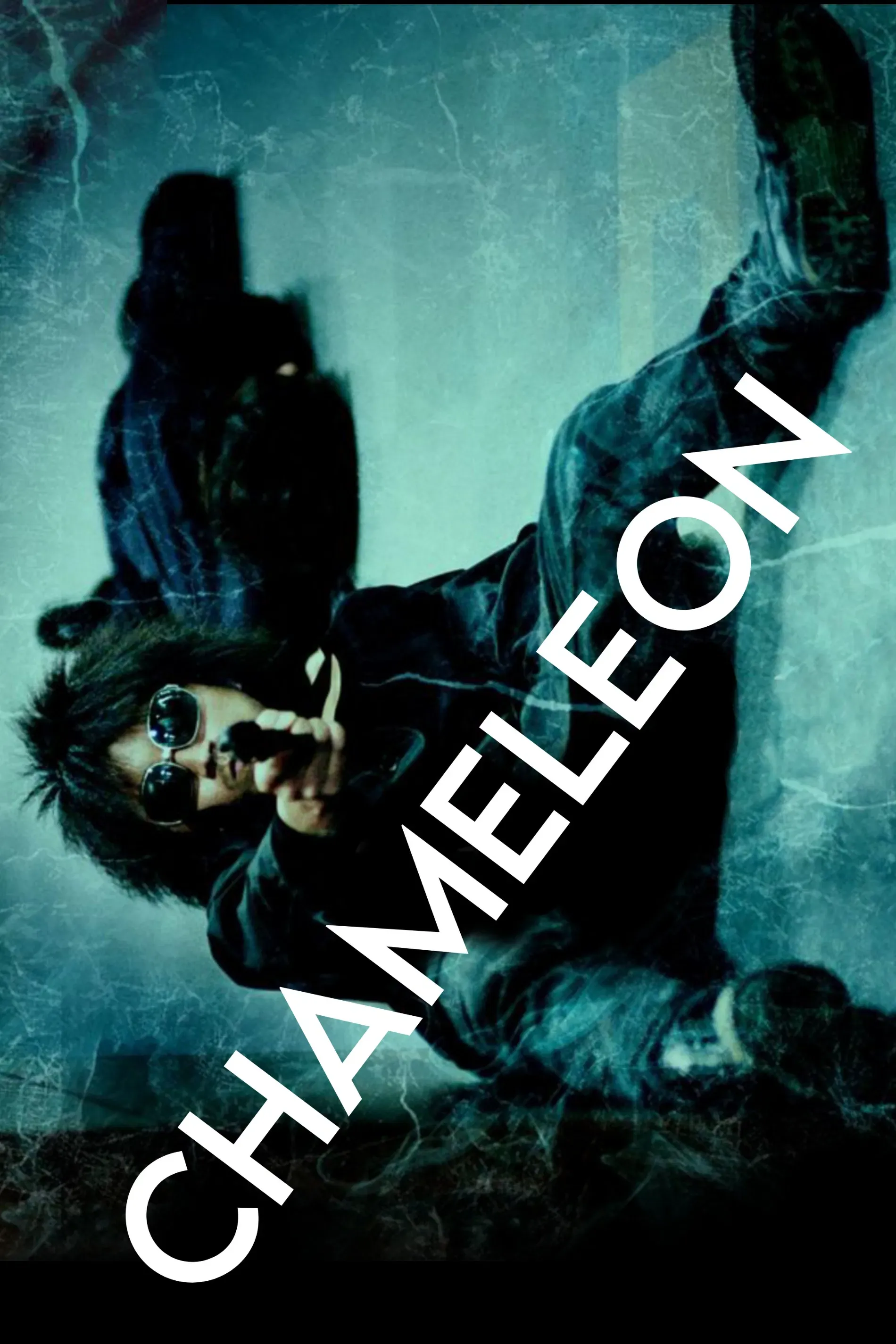Poster of the movie Chameleon