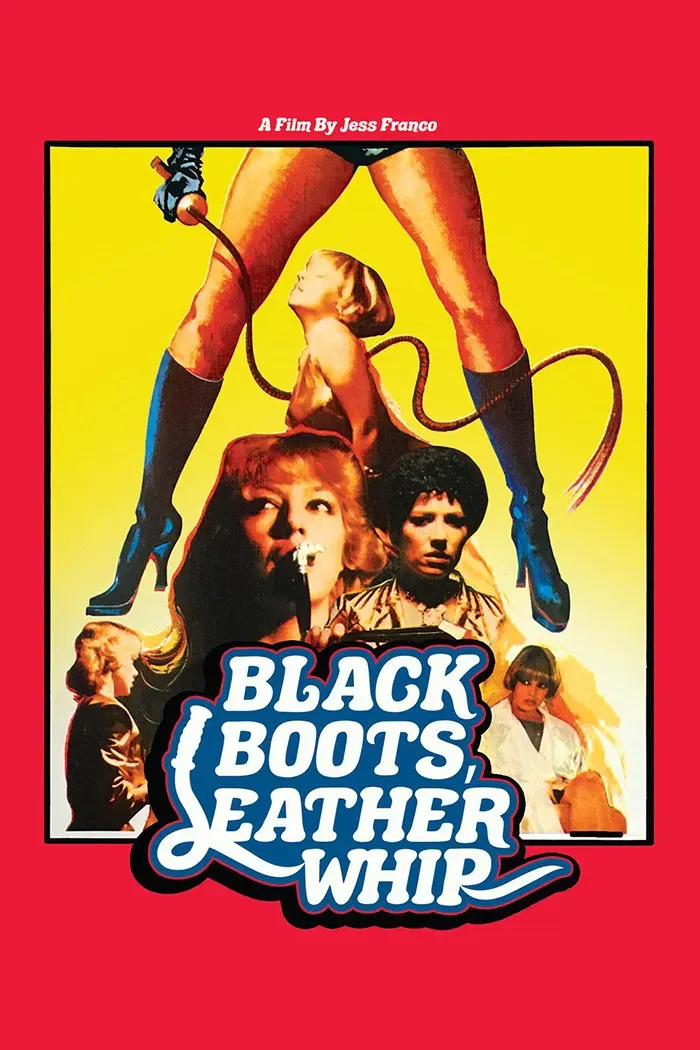 Poster of the movie Black Boots, Leather Whip
