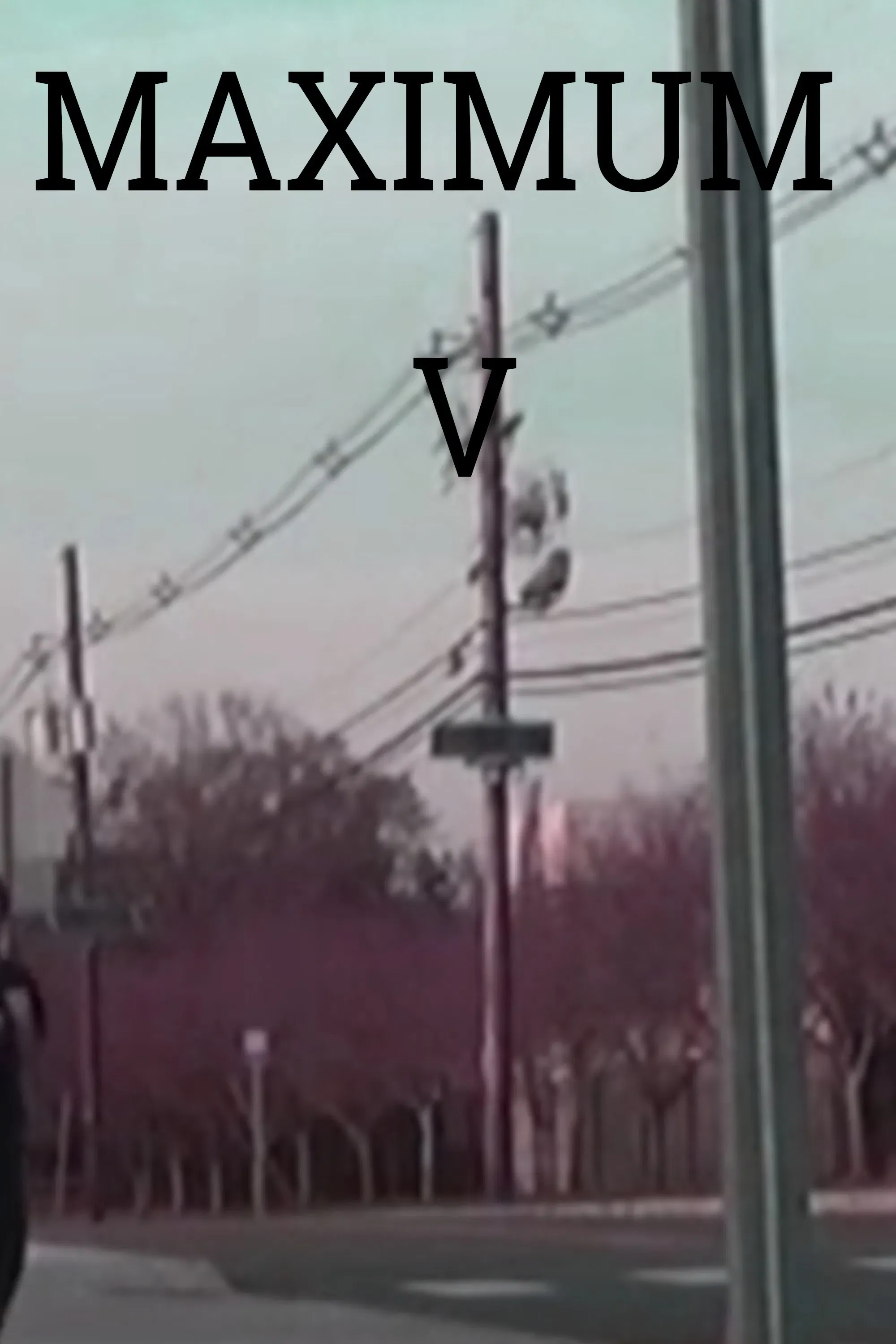 Poster of the movie Maximum V