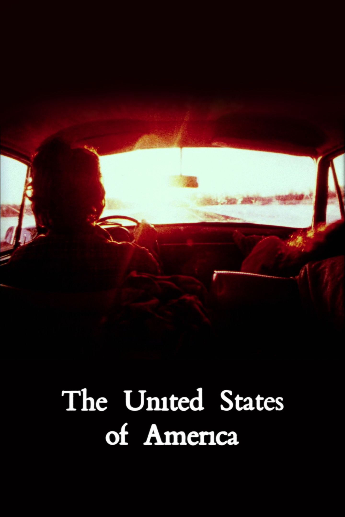 Poster of the movie The United States of America