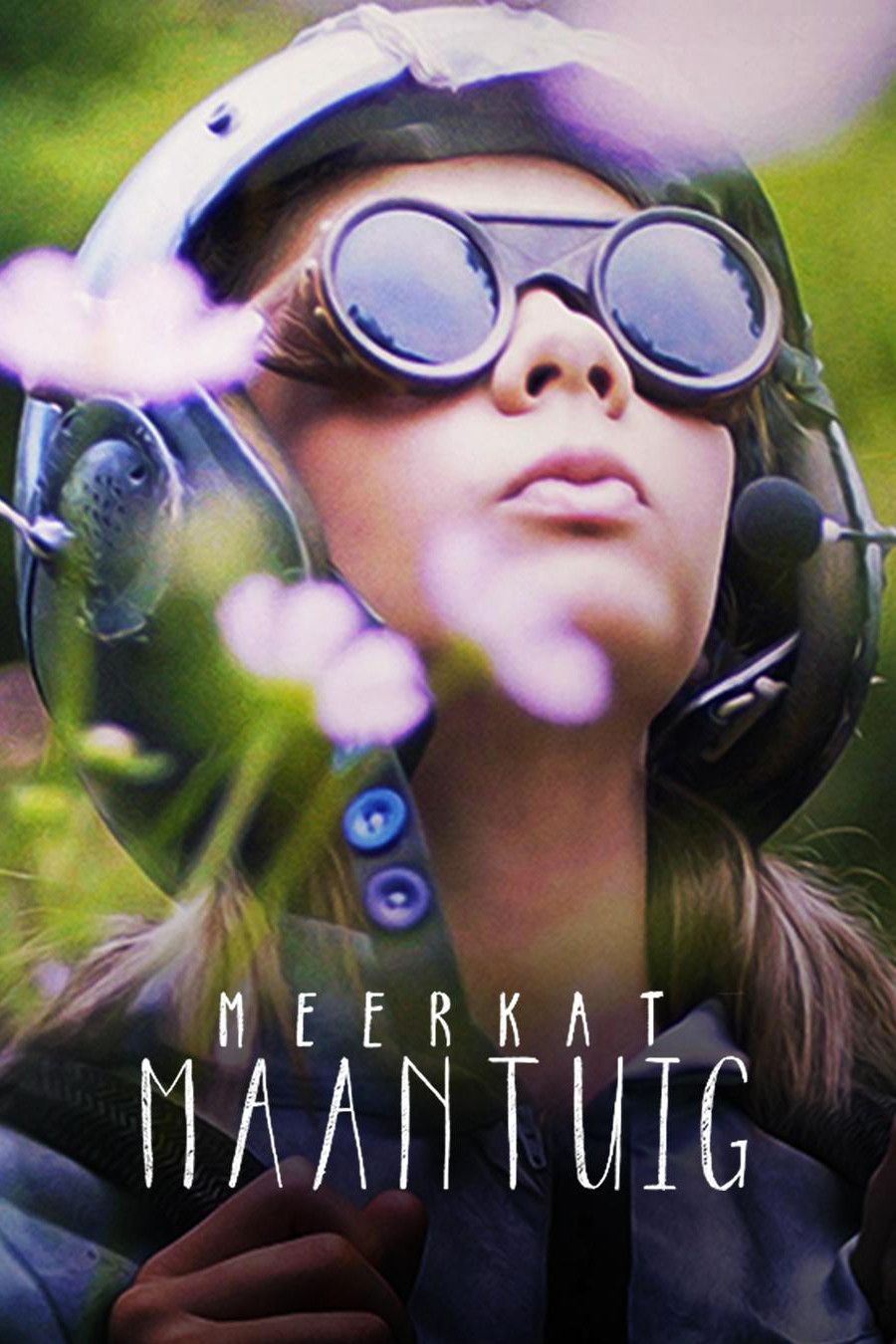 Poster of the movie Meerkat Moonship