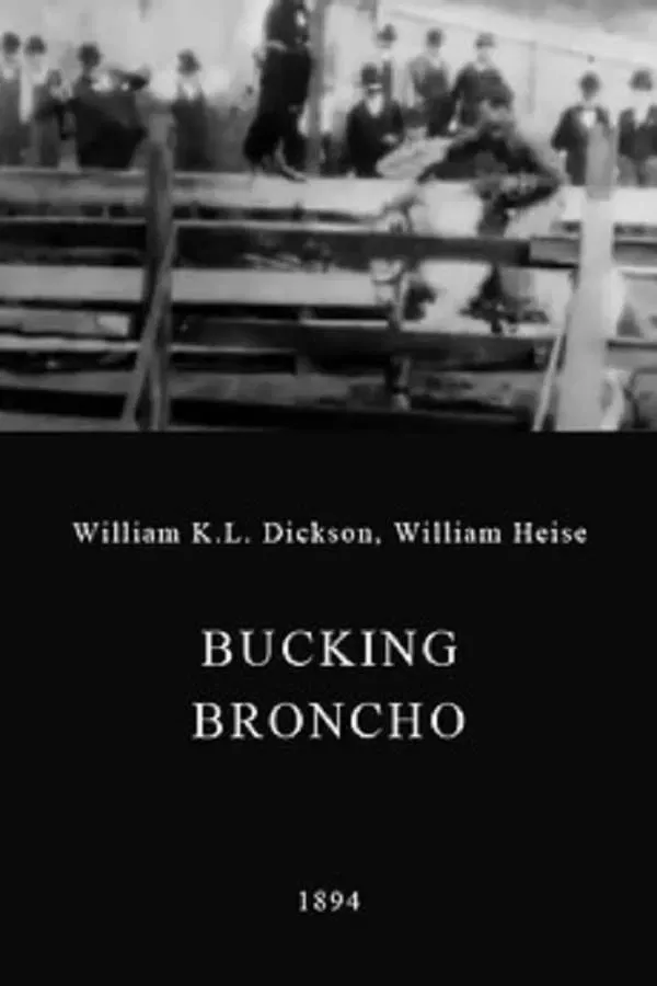 Poster of the movie A Bucking Broncho