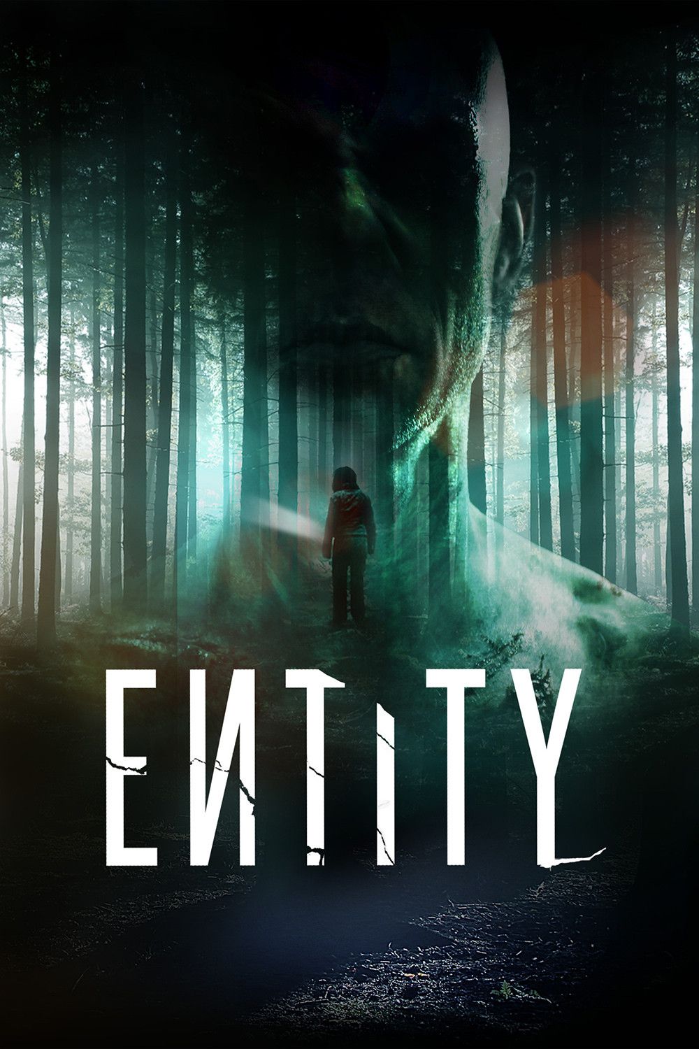Poster of the movie Entity