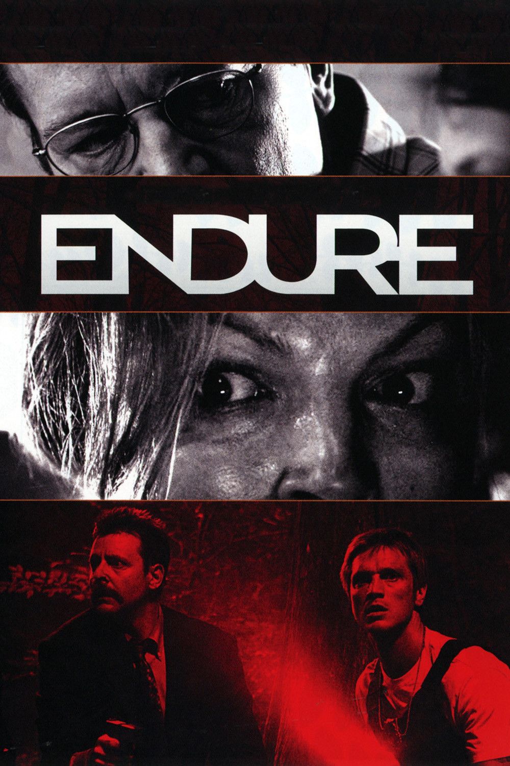 Poster of the movie Endure