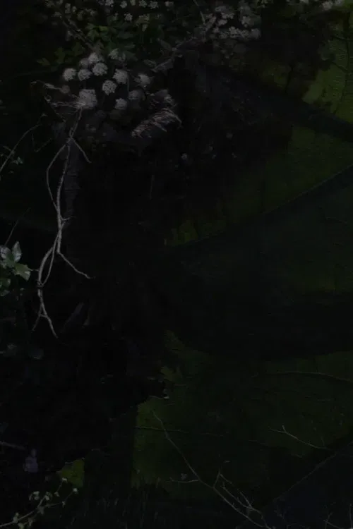 Poster of the movie Lost Gardens