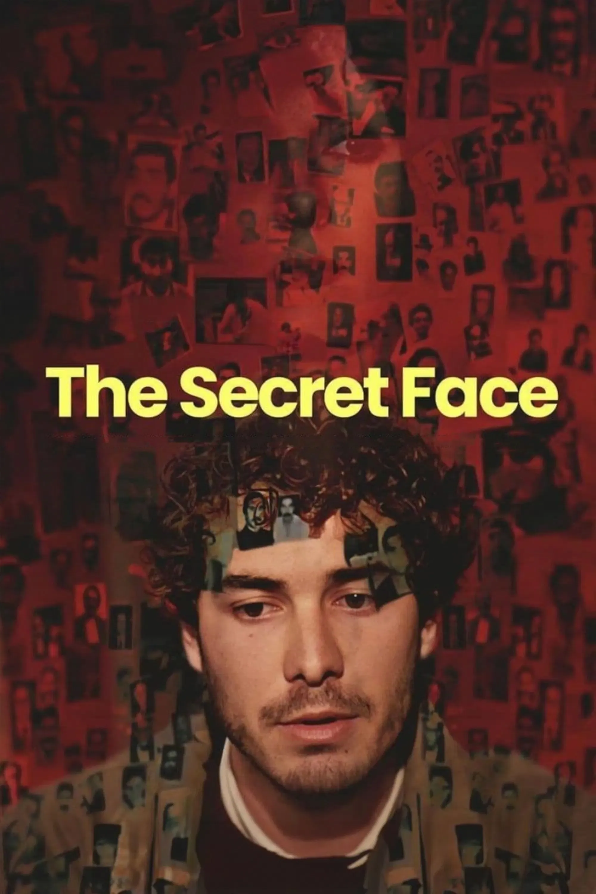 Poster of the movie The Secret Face