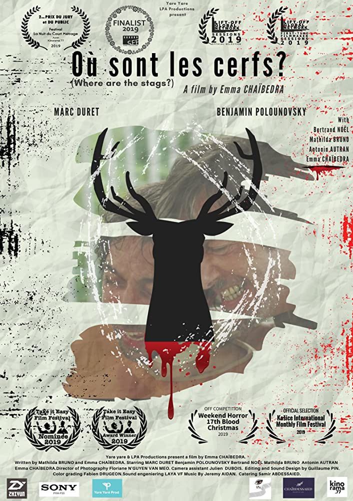 Poster of the movie Où sont les Cerfs ?
