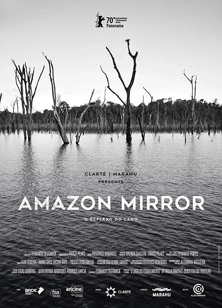 Poster for Amazon Mirror