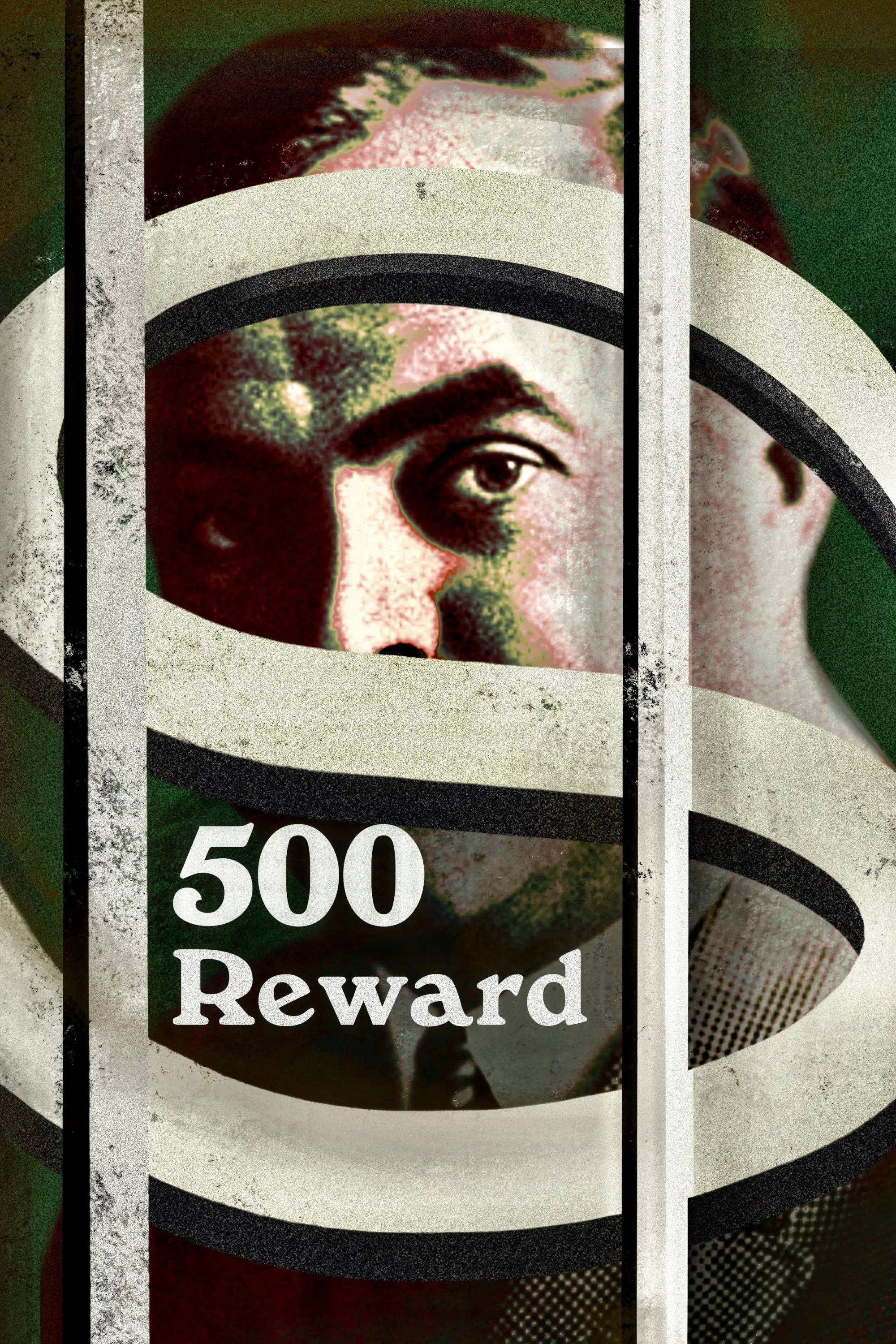 Poster of the movie $500 Reward