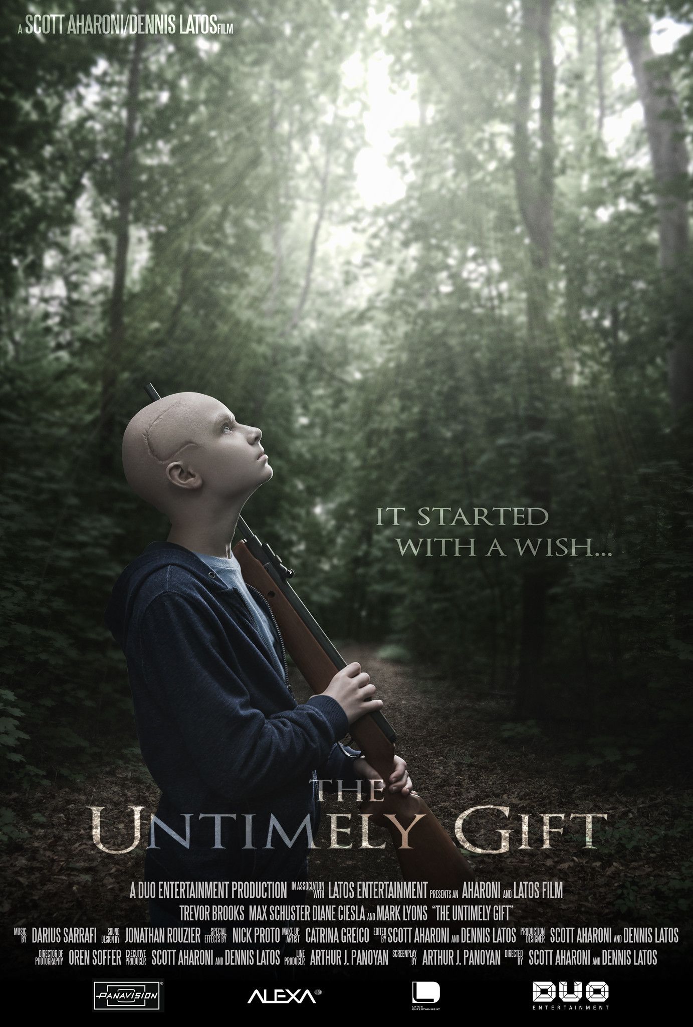Poster of the movie The Untimely Gift