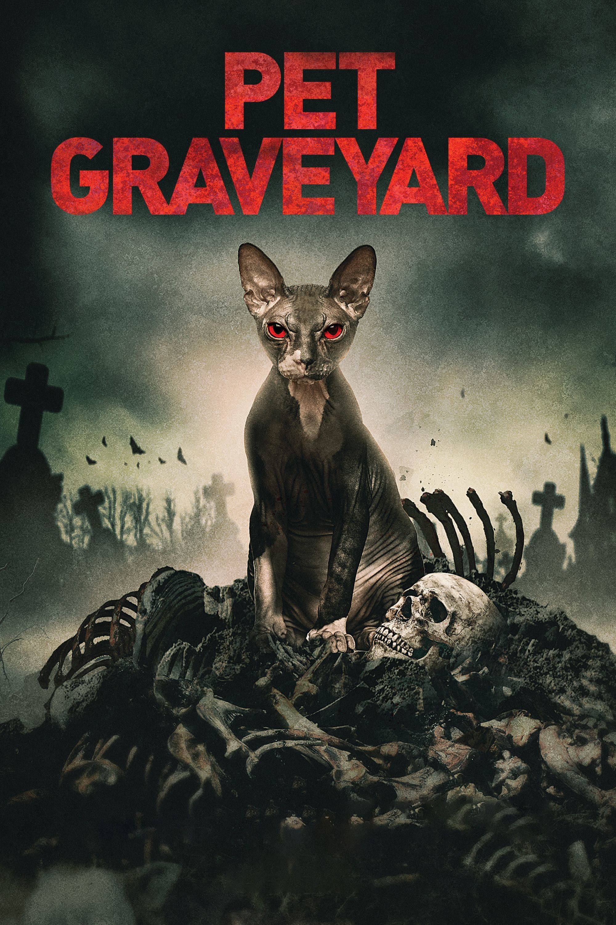 Poster of the movie Pet Graveyard