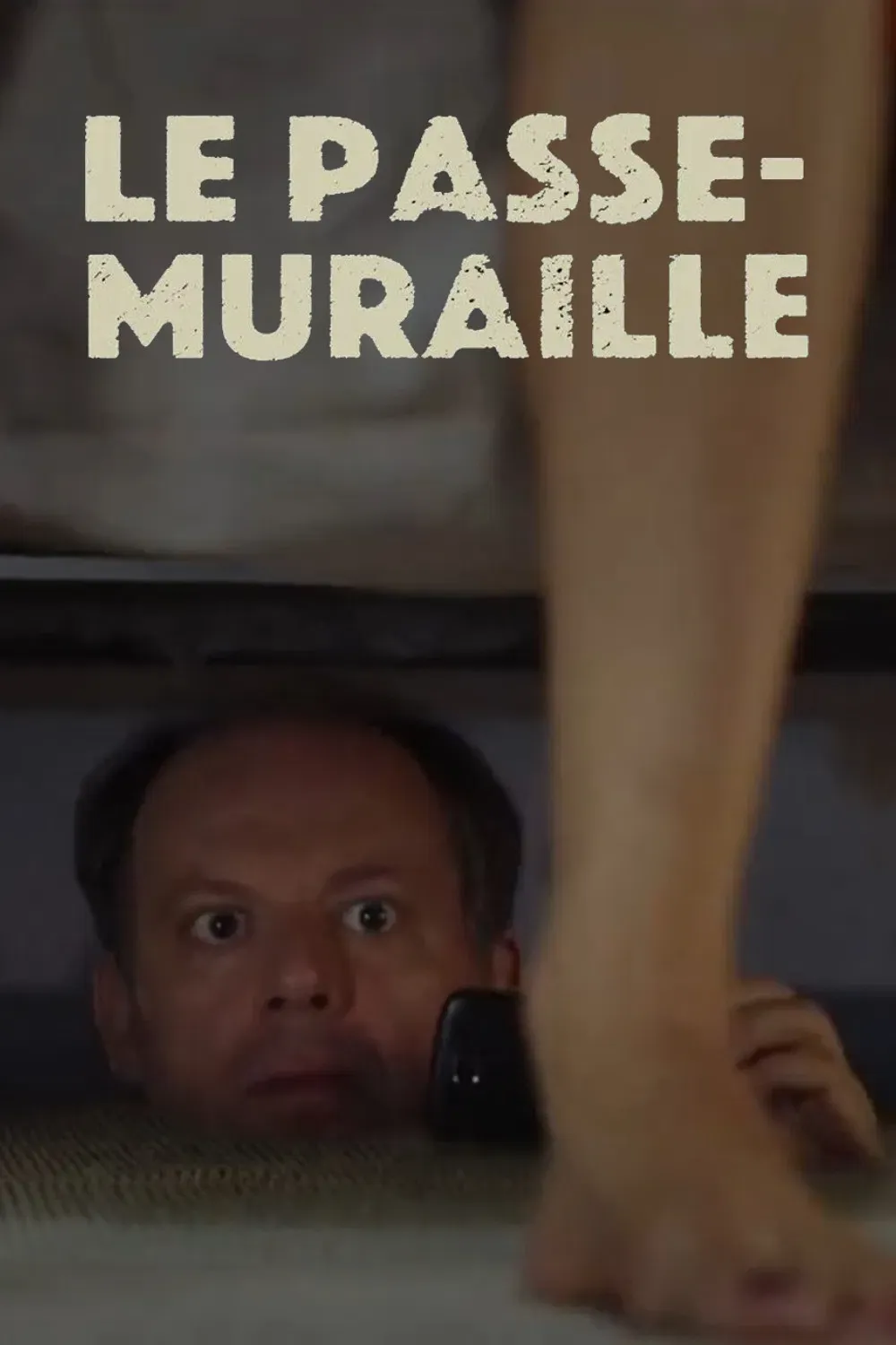 Poster of the movie Le passe-muraille