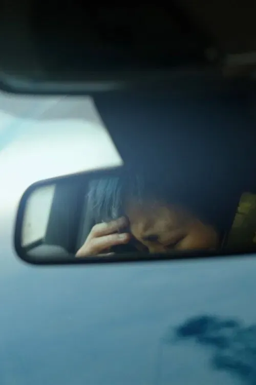 Poster of the movie Nice to See Your Face