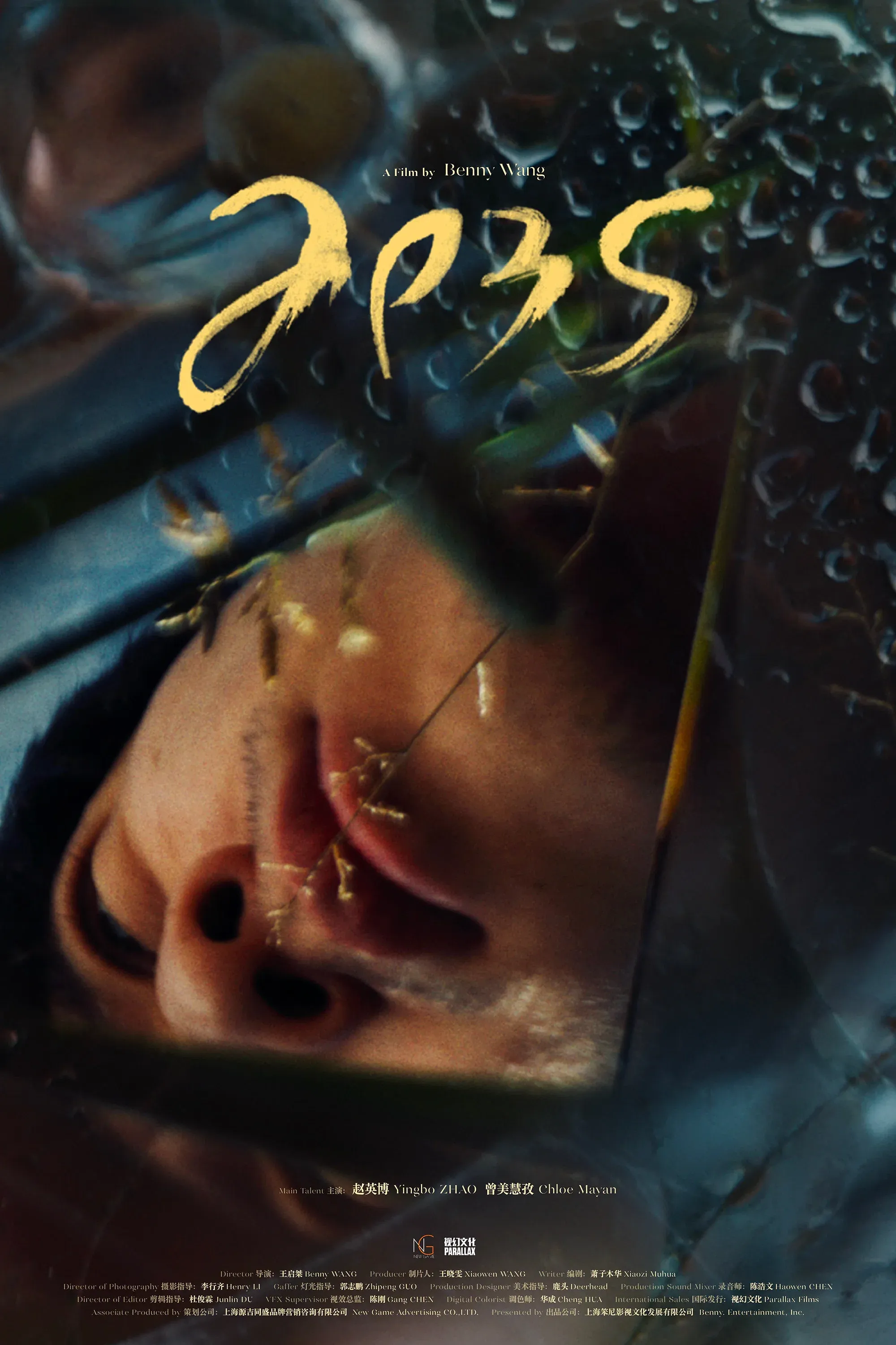 Poster for Apes