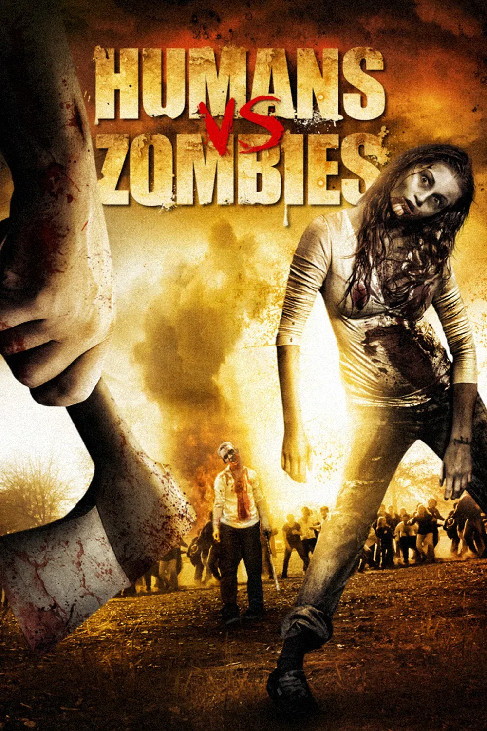 Poster of the movie Humans vs Zombies