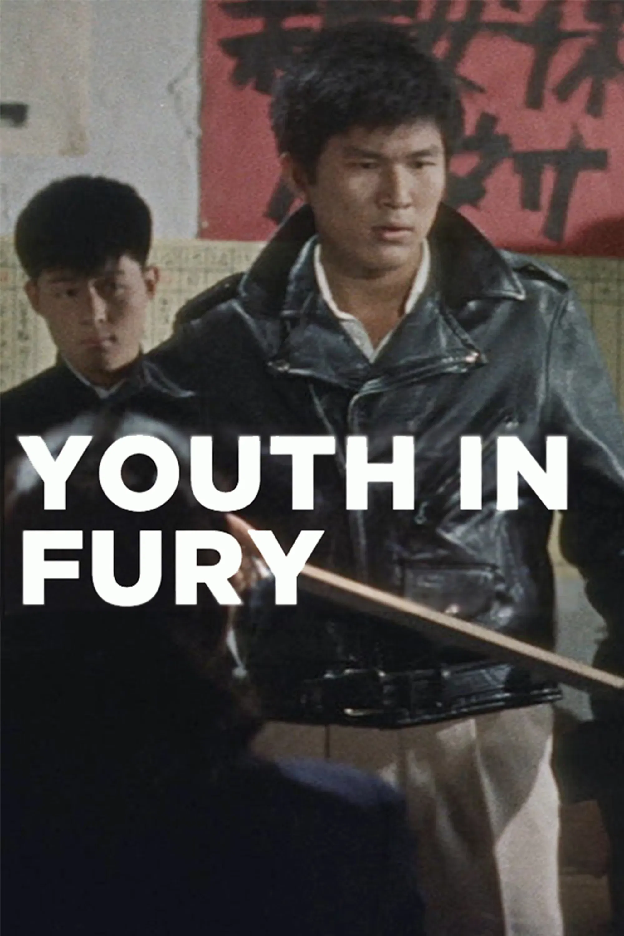 Poster of the movie Youth in Fury