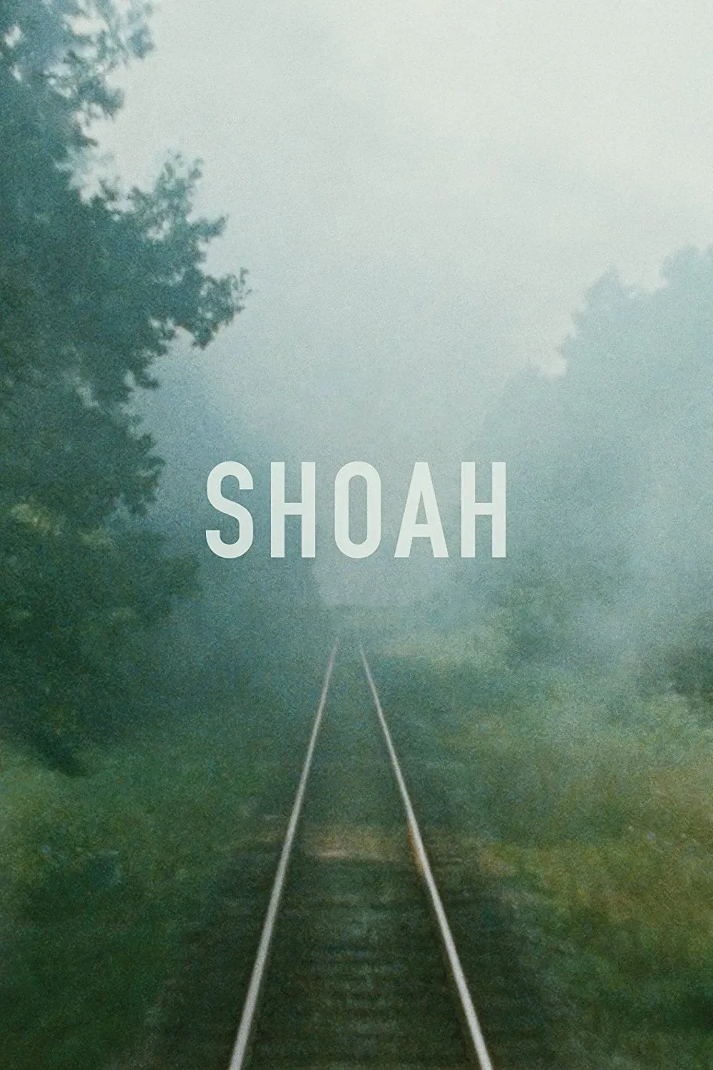 Poster of the movie Shoah